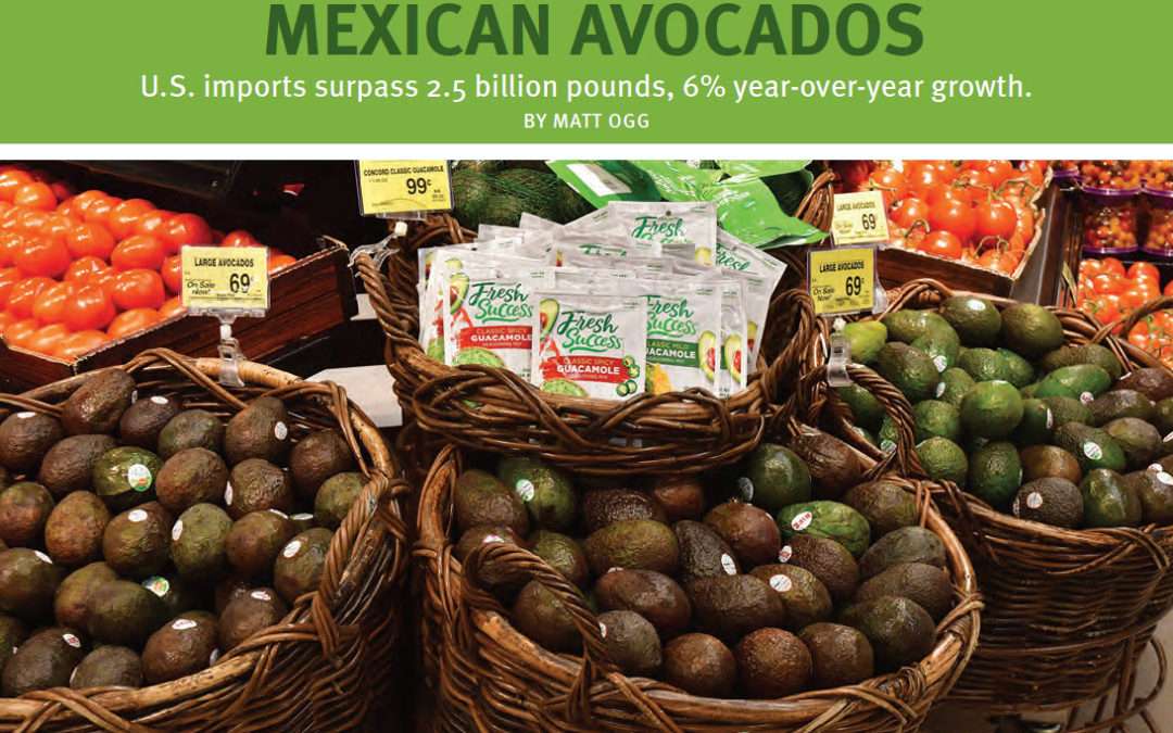 Raising A Toast To Mexican Avocados